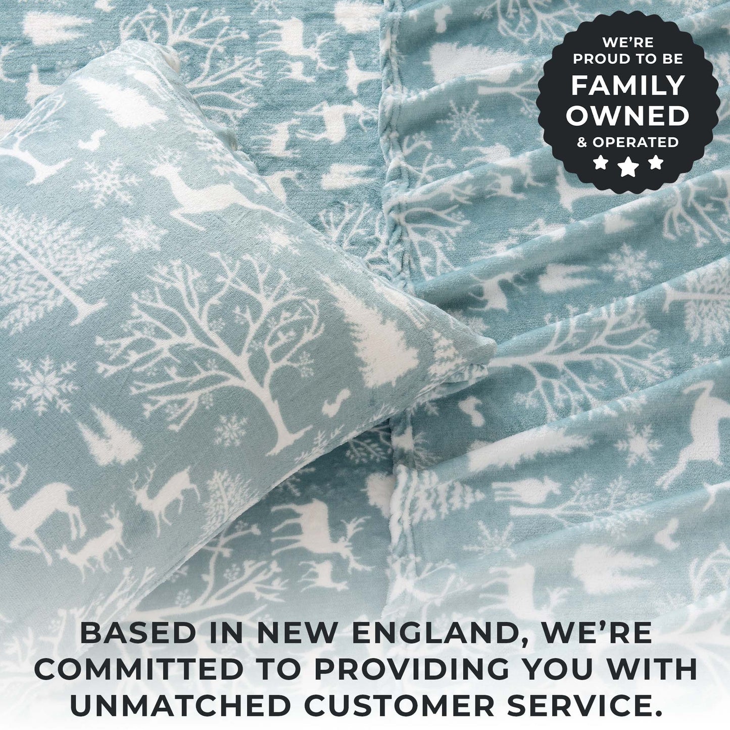 4-Piece Winter Printed Plush Sheet - Velvet Luxe Collection
